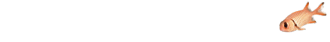 fish4.gif (3376 bytes)
