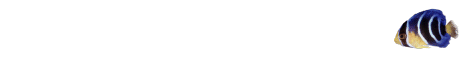 fish8.gif (2744 bytes)
