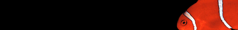 education4.gif (2387 bytes)