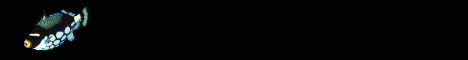 education4.gif (2387 bytes)