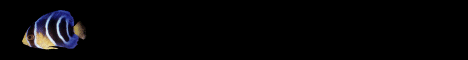 fish2.gif (1903 bytes)