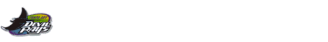 mlbban29.gif (3177 bytes)