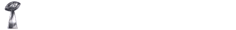 nflban13.gif (1689 bytes)