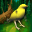 hpgbird.gif (12446 bytes)