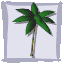 tree1.gif (18991 bytes)