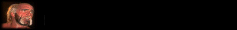 wcwban4.gif (5198 bytes)
