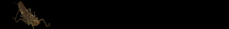 education4.gif (2387 bytes)