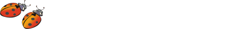 bug4.gif (3376 bytes)