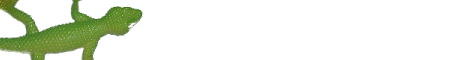 bug8.gif (2744 bytes)