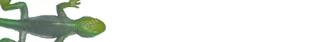 bug3.gif (2914 bytes)