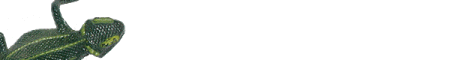 bug3.gif (2914 bytes)