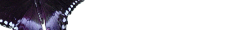 bug3.gif (2914 bytes)