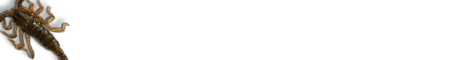 education4.gif (2387 bytes)