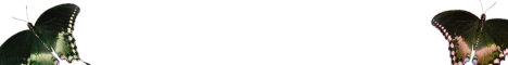 bug3.gif (2914 bytes)