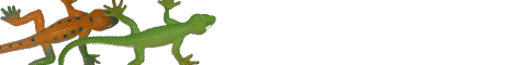 bug3.gif (2914 bytes)