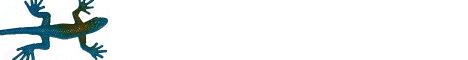 bug3.gif (2914 bytes)