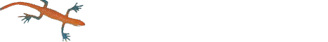 bug3.gif (2914 bytes)