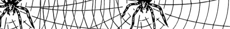 bug3.gif (2914 bytes)