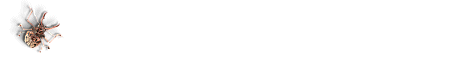 education4.gif (2387 bytes)