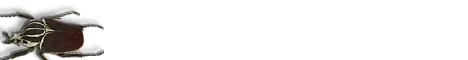 education4.gif (2387 bytes)