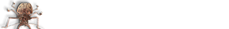 education4.gif (2387 bytes)
