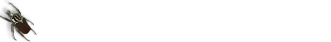 education4.gif (2387 bytes)