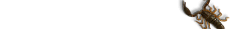education4.gif (2387 bytes)