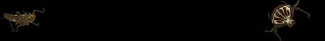 education4.gif (2387 bytes)