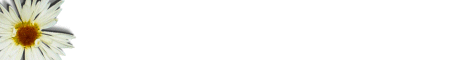 flower4.gif (2387 bytes)