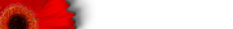flow1.gif (2474 bytes)