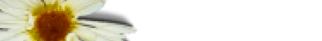 flow2.gif (1903 bytes)