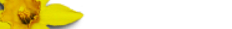 flow4.gif (3376 bytes)