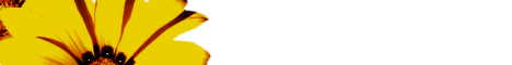 flow8.gif (2744 bytes)
