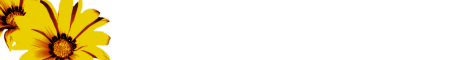 flow3.gif (2914 bytes)