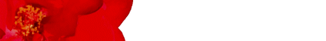flow3.gif (2914 bytes)