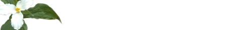 flow3.gif (2914 bytes)