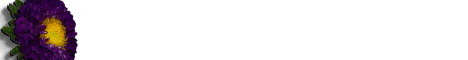 flower4.gif (2387 bytes)