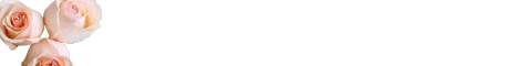 flow3.gif (2914 bytes)