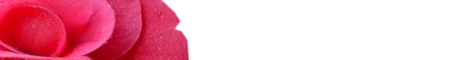 flow3.gif (2914 bytes)