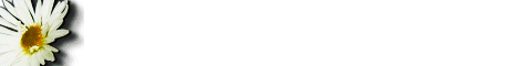 flower4.gif (2387 bytes)