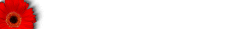 flower4.gif (2387 bytes)