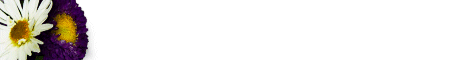 flower4.gif (2387 bytes)