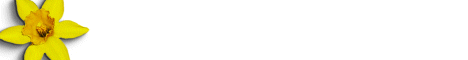 flower4.gif (2387 bytes)