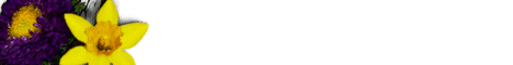 flower4.gif (2387 bytes)