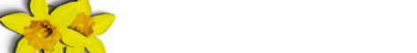 flower4.gif (2387 bytes)
