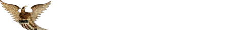 pat3.gif (2914 bytes)