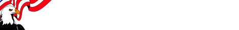 pat3.gif (2914 bytes)