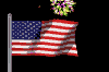 fireworksSM.gif (9300 bytes)